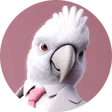 rike_kiel